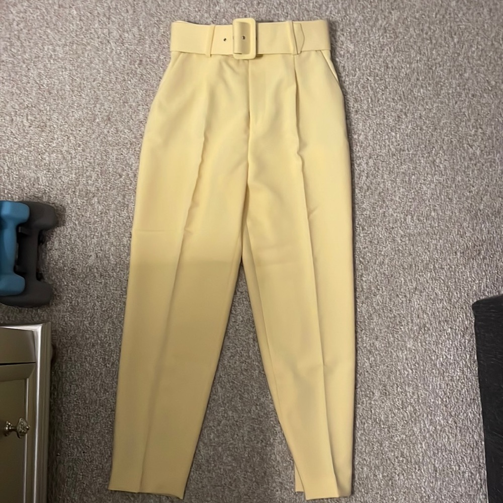 Zara pants